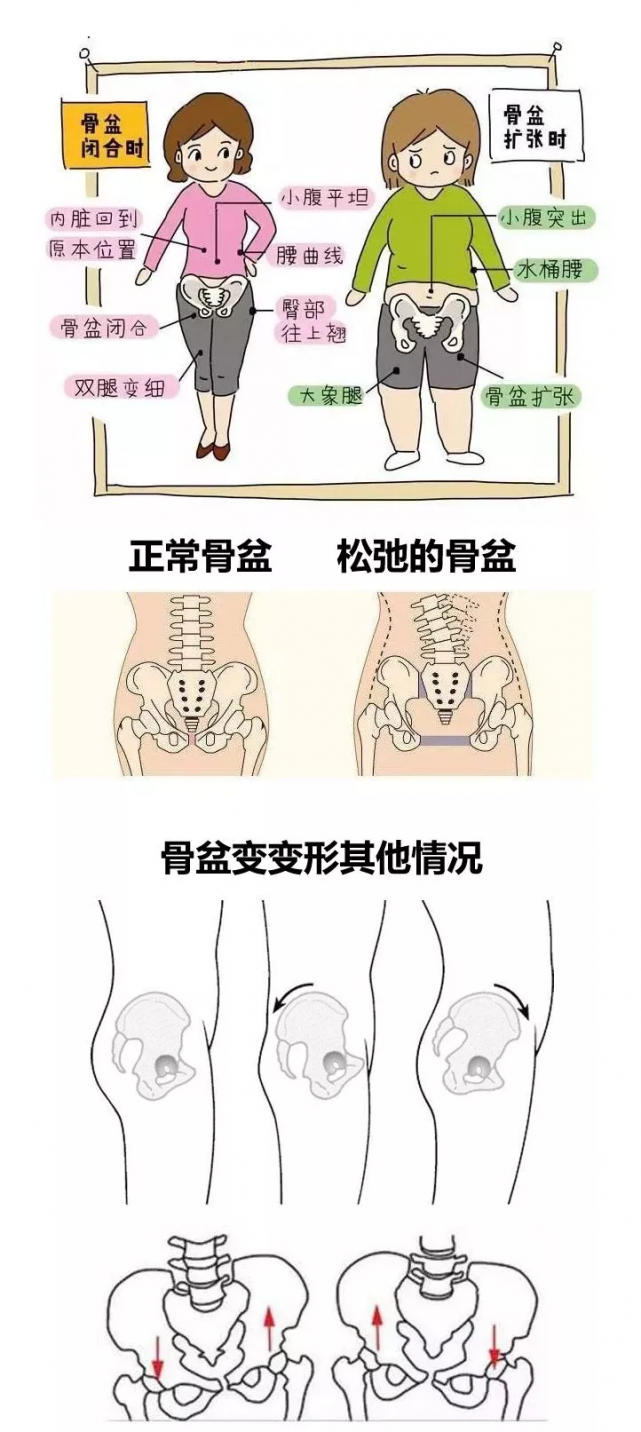 科普知識1-插圖.png